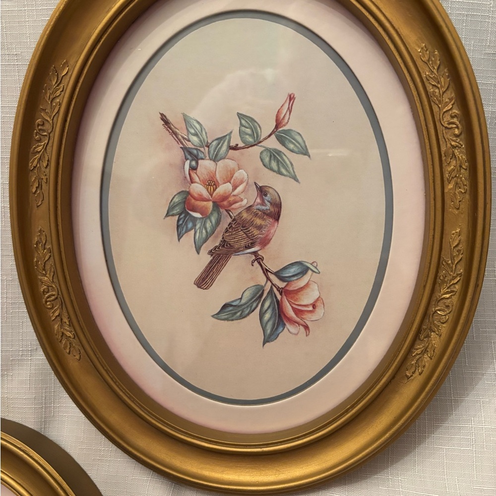 Gold Oval Framed Bird Art Set - Picture 2 of 8
